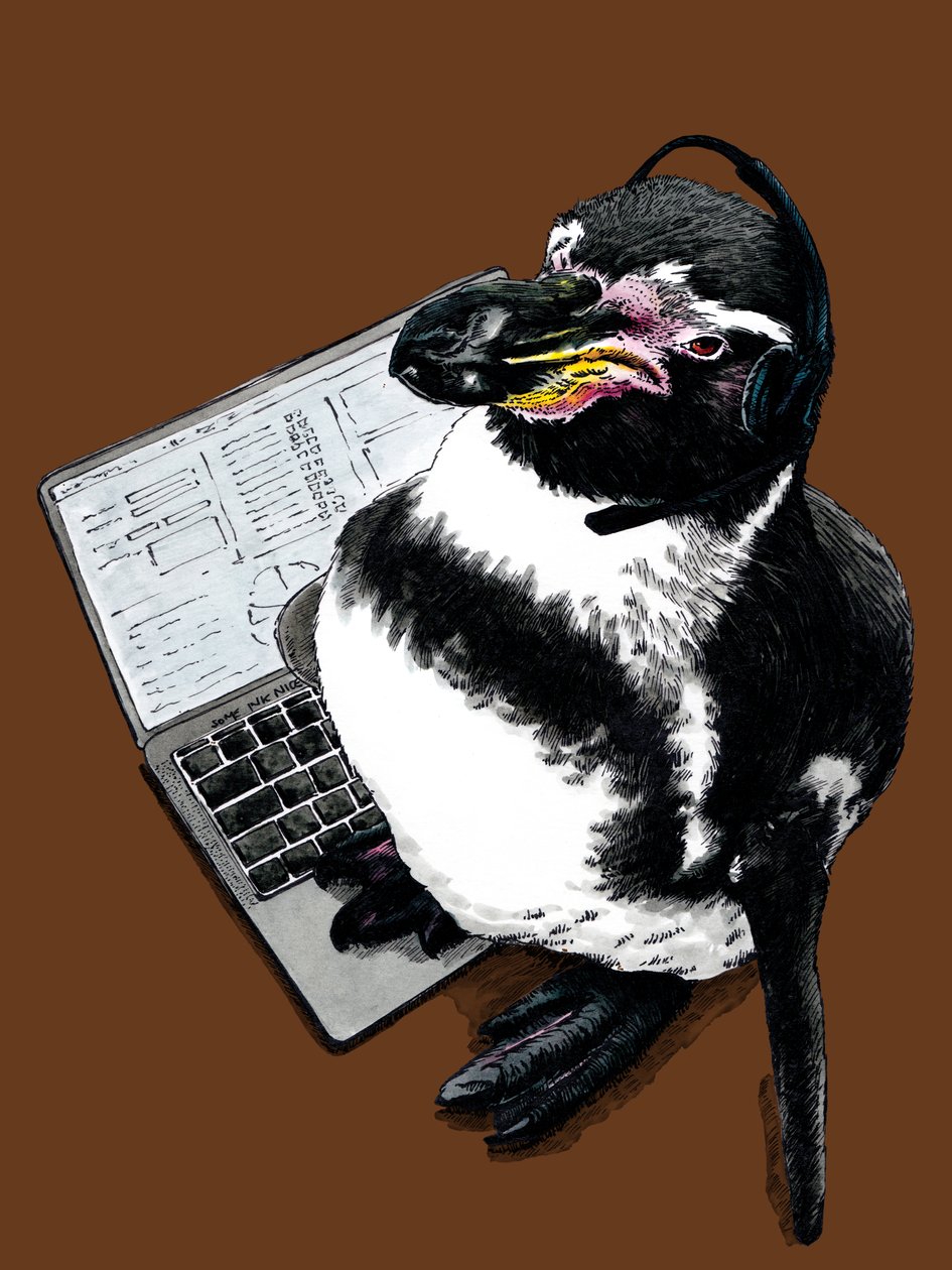 Pinguino Nuovo Lavoro su Arancione Bruciato, 2020 da Mike Davis