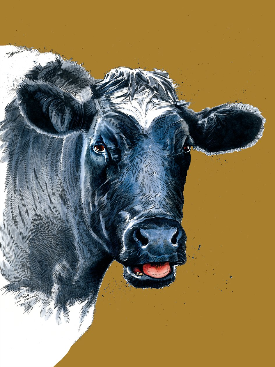La mucca su giallo dorato da Mike Davis