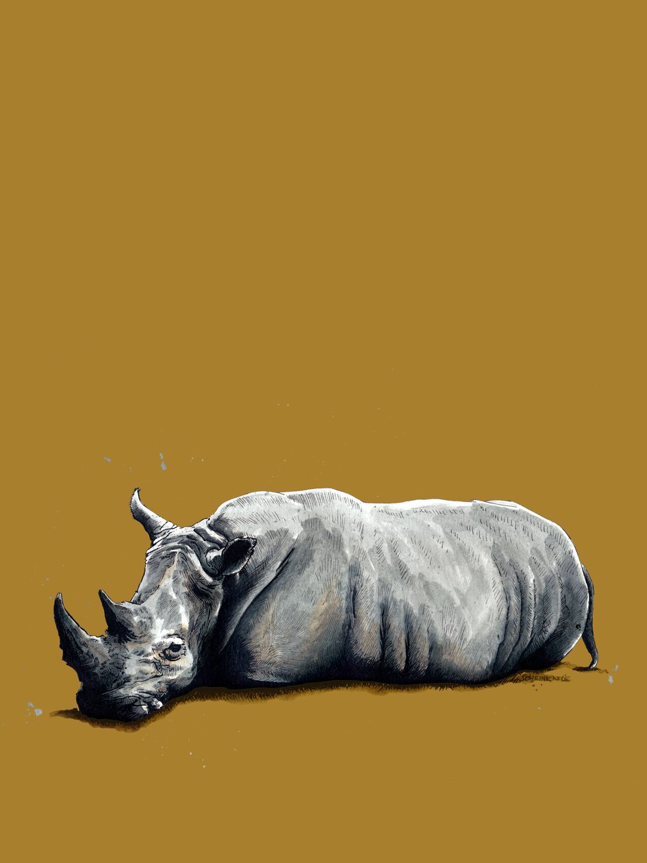 Il rinoceronte su giallo dorato, 2020 da Mike Davis