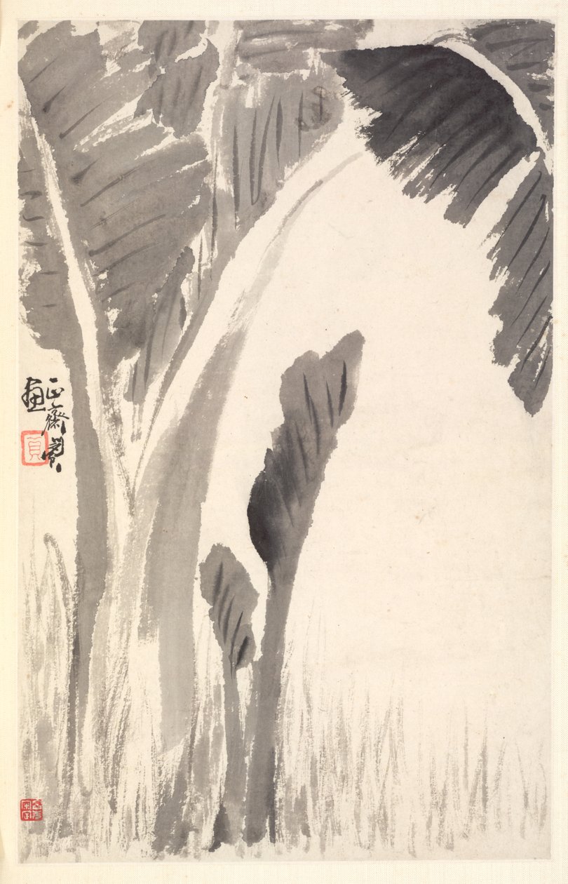 Piante di banana da Min Zhen