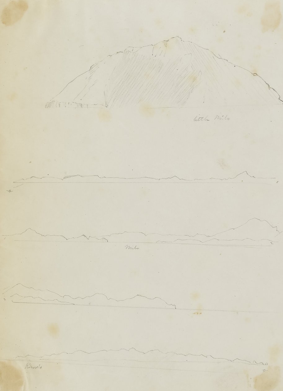 Cimolo/Melos da Miner Kilbourne Kellogg