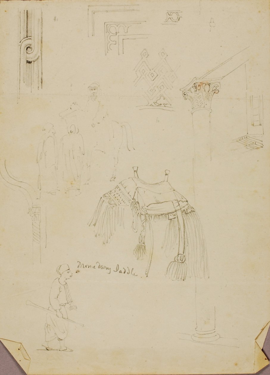 Sella di dromedario/Studies da Miner Kilbourne Kellogg