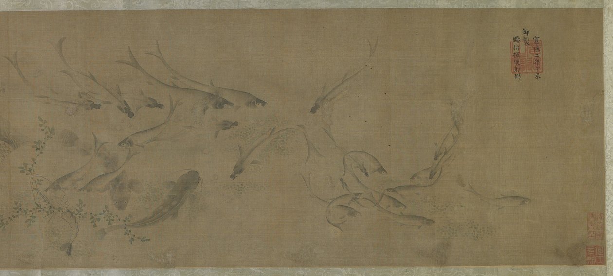 Pesci e alghe da Ming Dynasty Chinese School