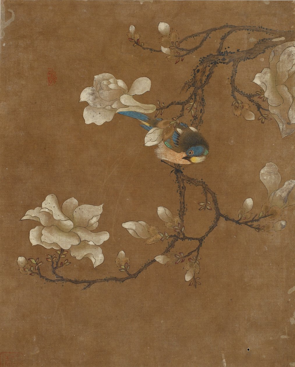 Dieci immagini di uccelli e fiori da Ming Dynasty Chinese School