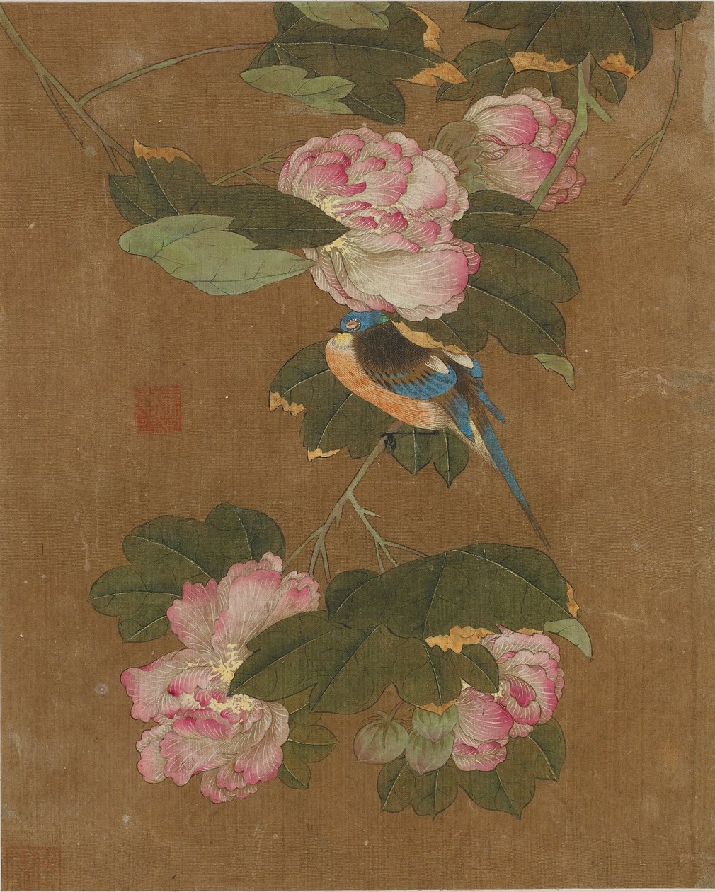 Dieci immagini di uccelli e fiori da Ming Dynasty Chinese School