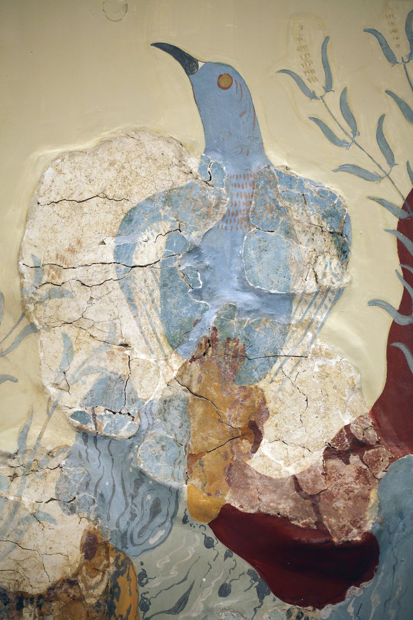 Arte minoica. Dettaglio del "Fresco dell
