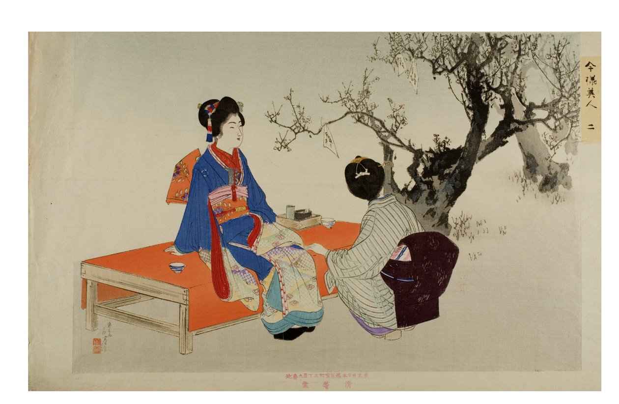 Guardando i fiori di prugno. Dalla serie Bellezze moderne, 1897-1899 circa (stampa xilografica su carta) da Mizuno Toshikata