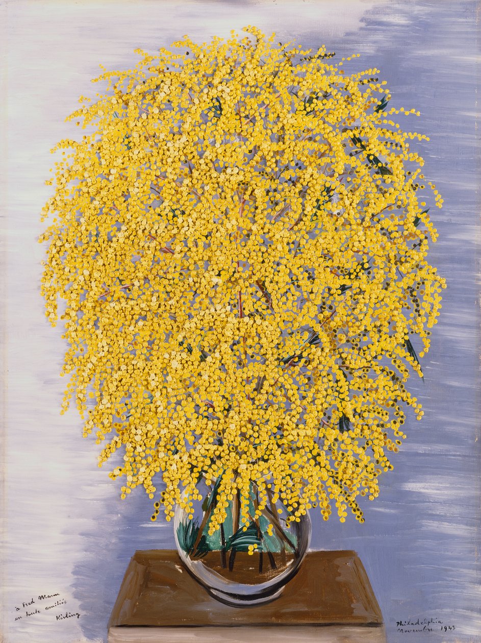 Mimose da Moise Kisling