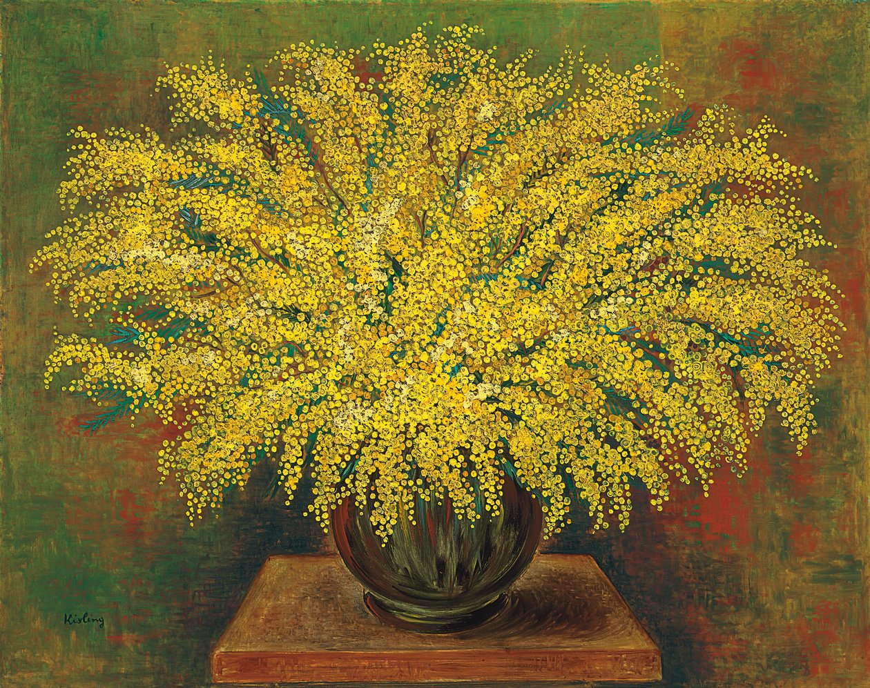 Mimose da Moise Kisling