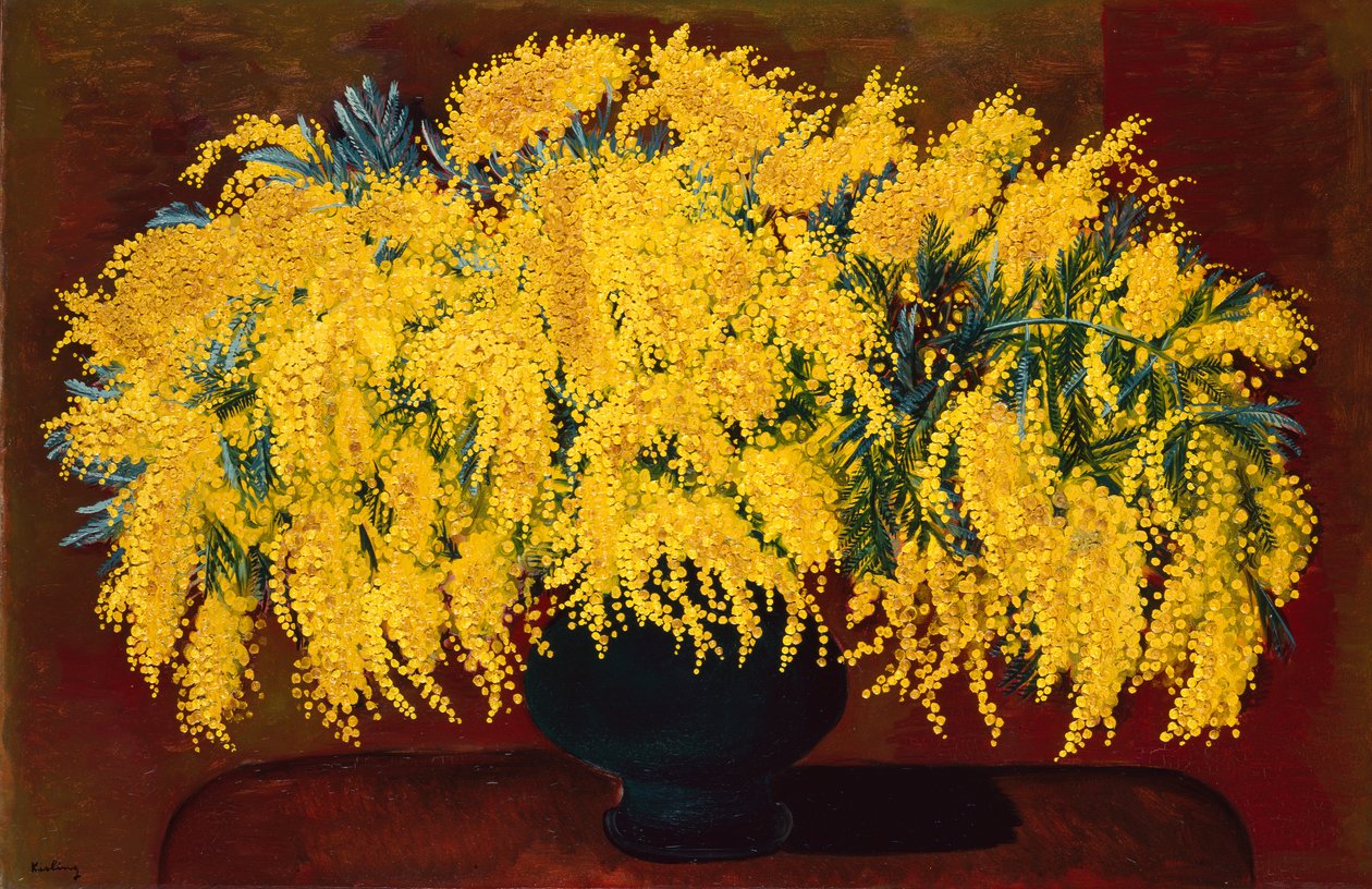 Mimose da Moise Kisling