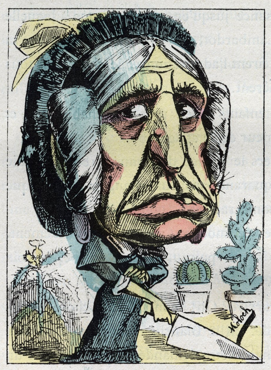 Allegoria della “matrigna” (Belle mere) in “Le Trombinoscope” di Touchatout, caricatura di B. Moloch del 1882 (1849-1909). Collezione privata da Moloch