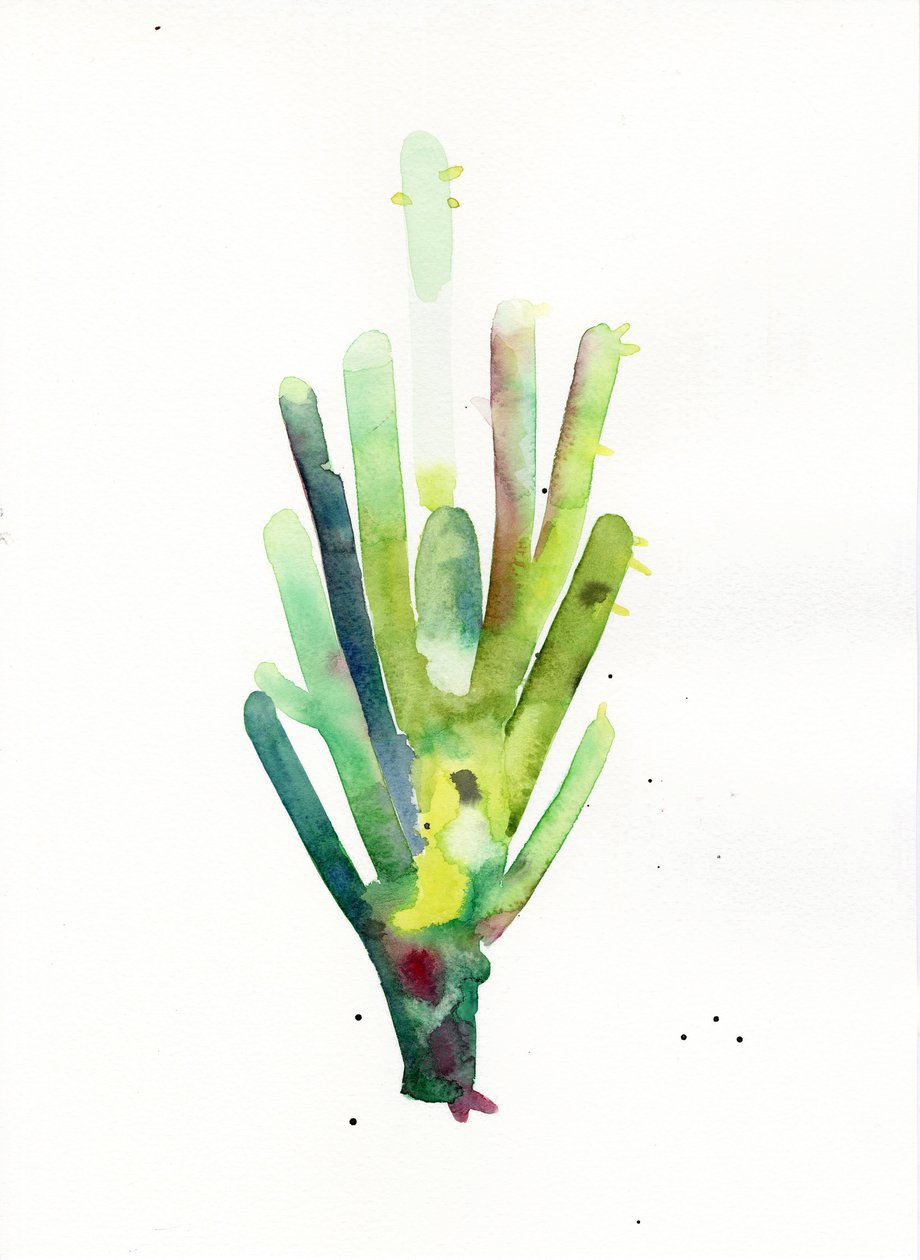 Cardon2, 2021 da Monica Perez Vega