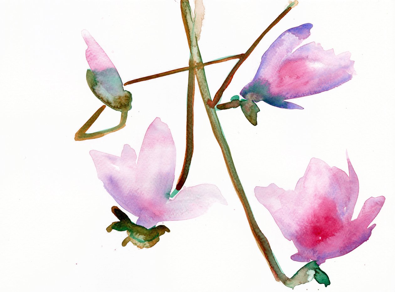 Magnolia 1, 2022 da Monica Perez Vega
