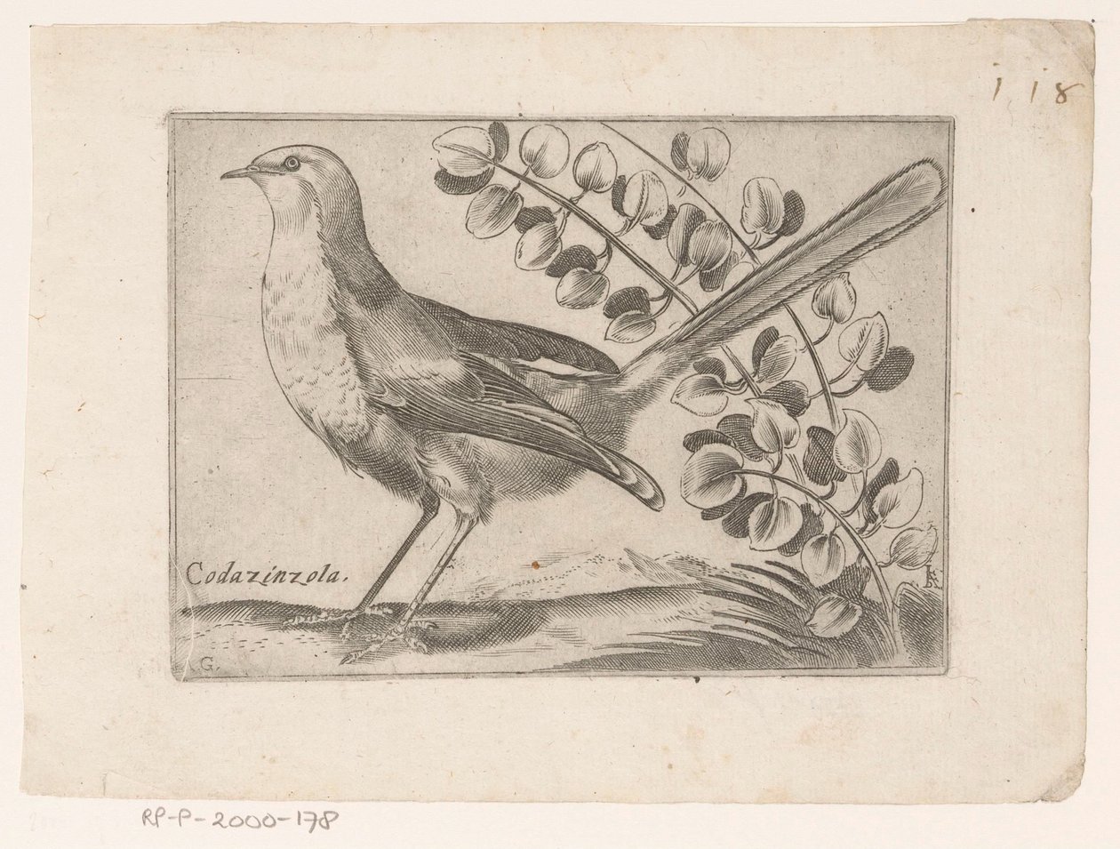 Uccello da Monogrammist AG
