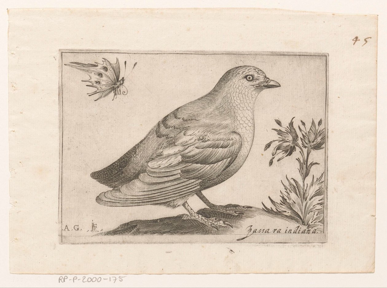 Uccello da Monogrammist AG