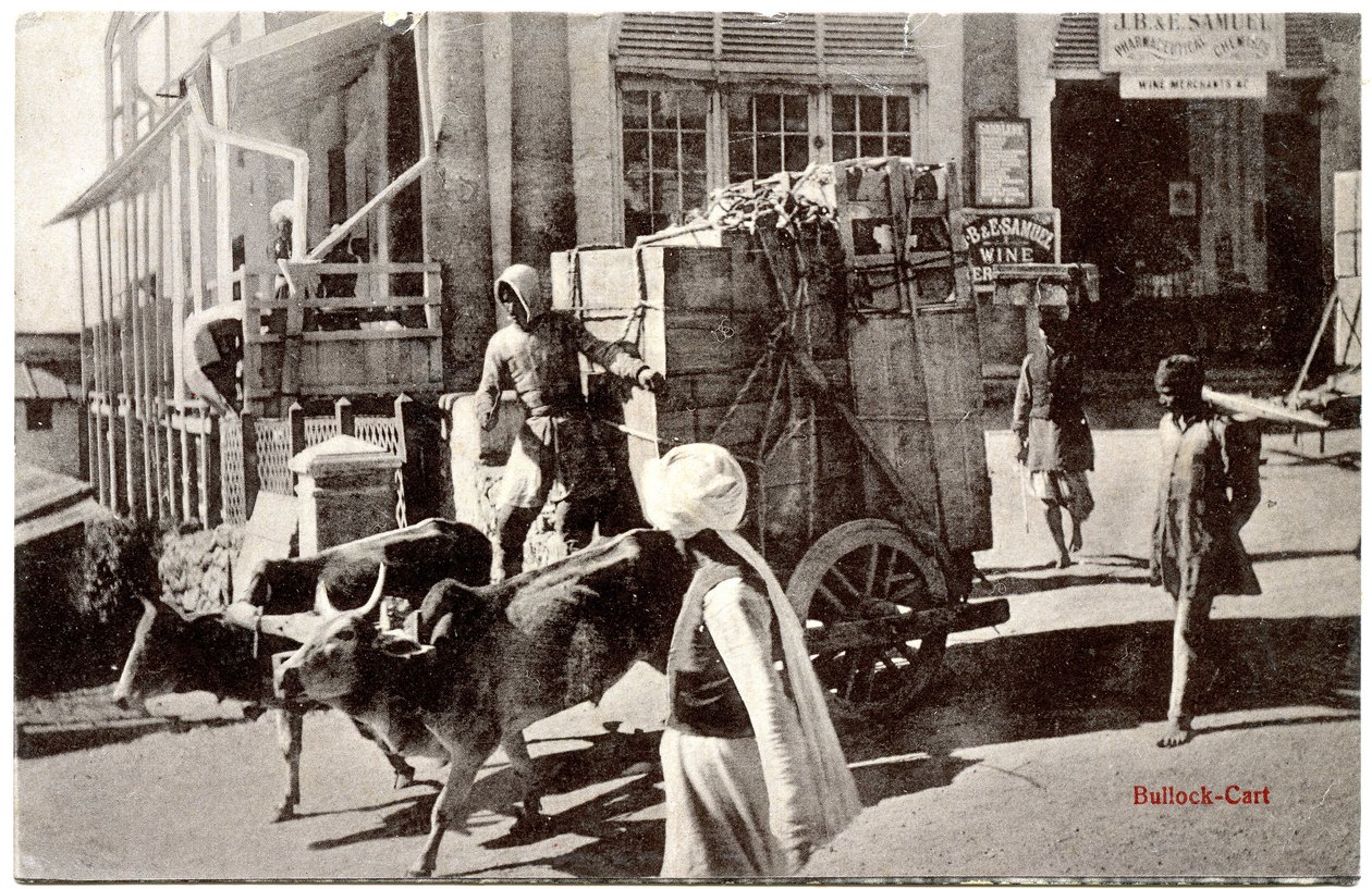 Carro trainato da buoi, c.1900-20 da Moorli Dhur and Sons