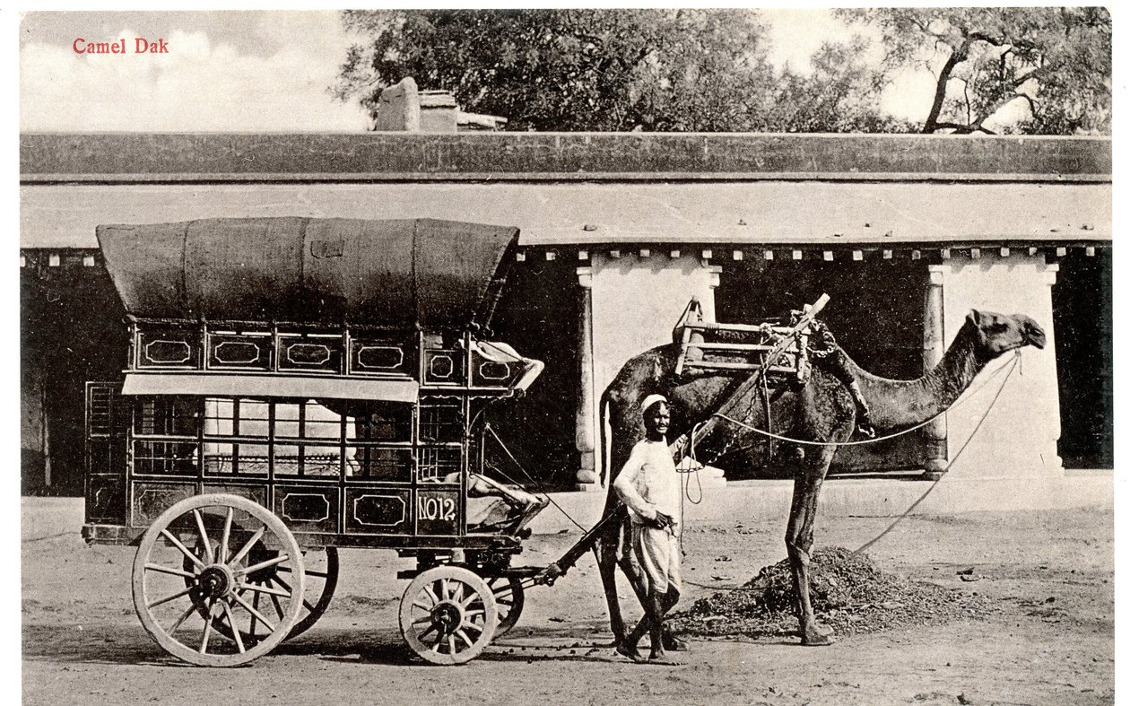 Camel Dak, c.1911-12 (foto seppia) da Moorli Dhur and Sons