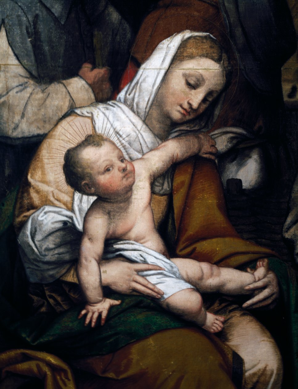 Natività o Adorazione dei pastori da Moretto da Brescia