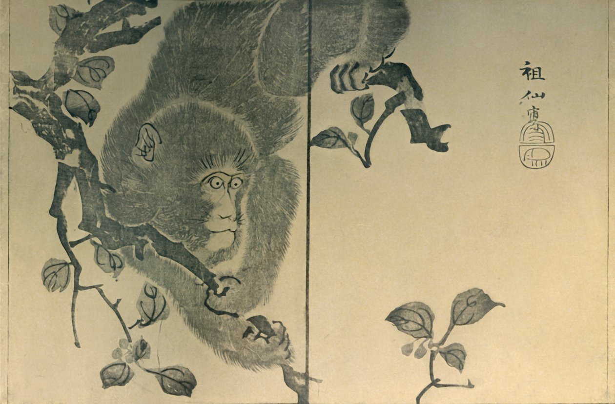 Scimmia, 1815 da Mori Sosen