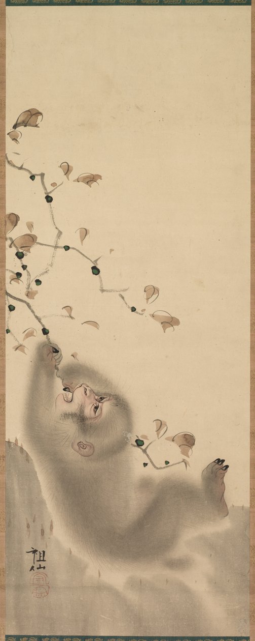 Scimmia appesa a un ramo, 1780 da Mori Sosen