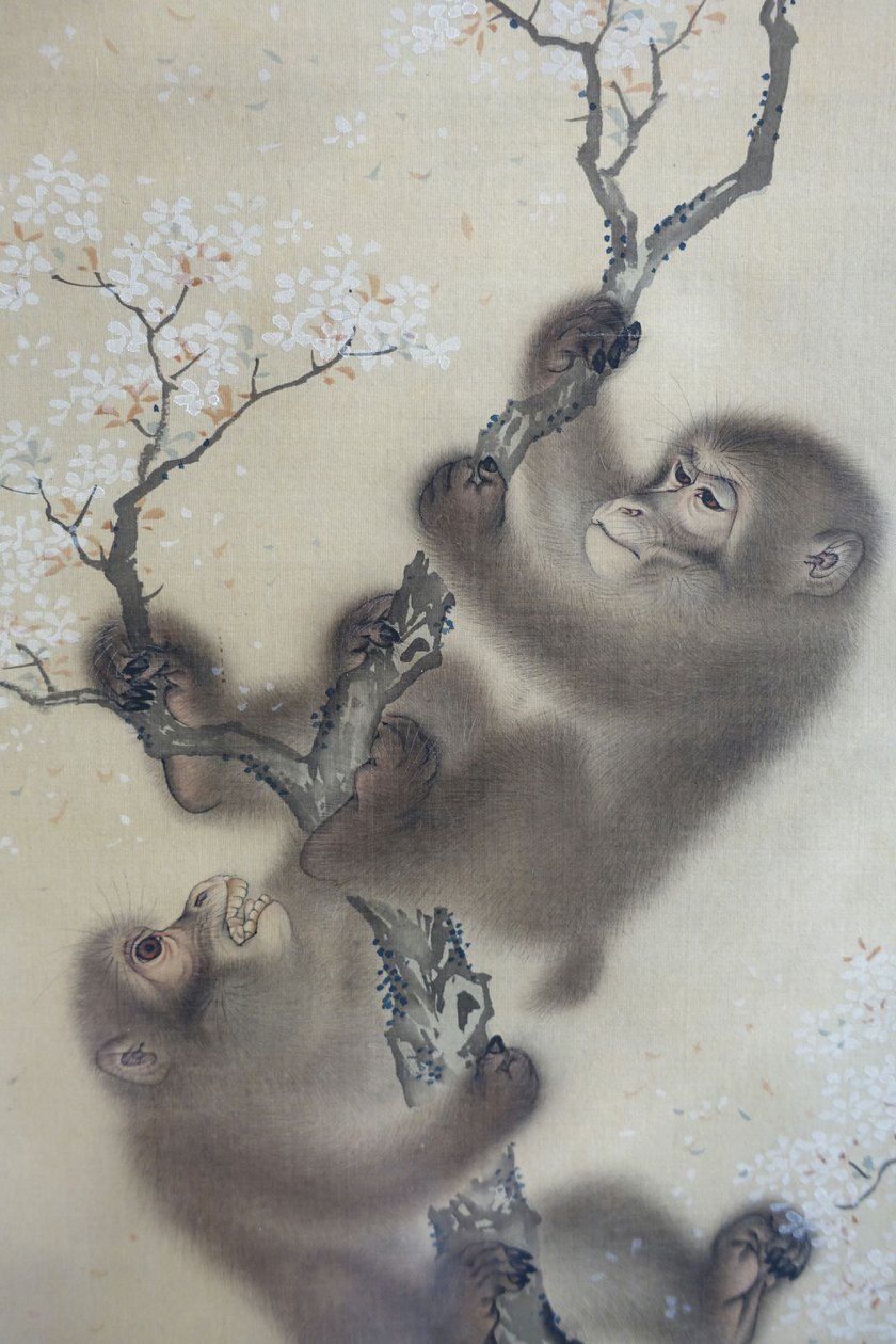Scimmie in un ciliegio in fiore, 1 di 2, Mori Sosen, Giappone, periodo Edo, inizio 1800, inchiostro e colore su seta - Museo Arthur M. Sackler, Università di Harvard - DSC01127 da Mori Sosen