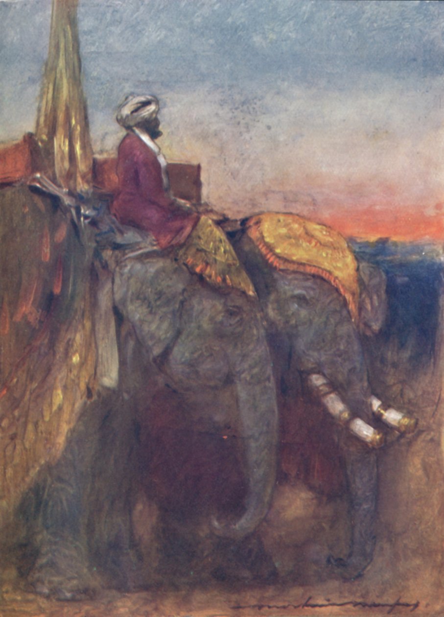 Elefanti di Jaipur da Mortimer L Menpes