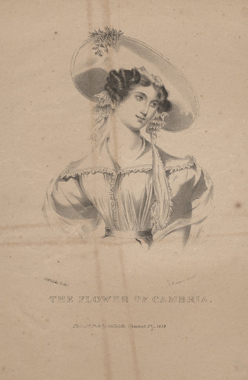 Il fiore di Cambria, litografia di C.G. Childs, 1830 da Moses Swett