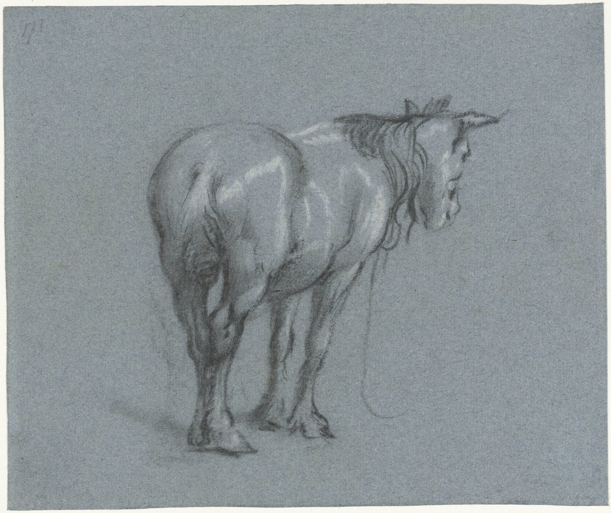 Studio di un cavallo da dietro, verso destra (serie Cavalli da lavoro in piedi) da Moses Ter Borch