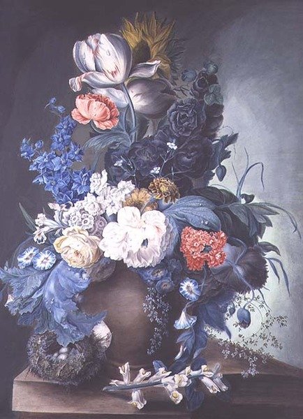 Gruppo di fiori in un vaso e nido d