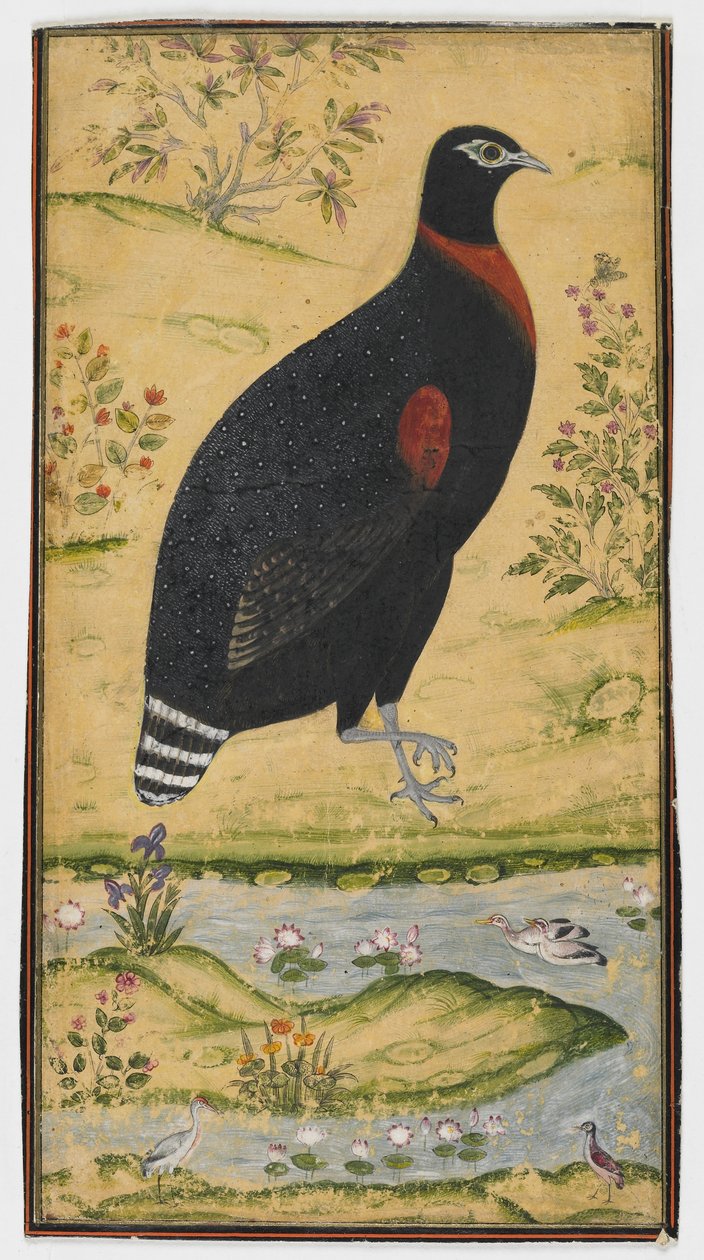 Un francolino in un paesaggio, dipinto, fine XVII secolo da Mughal School