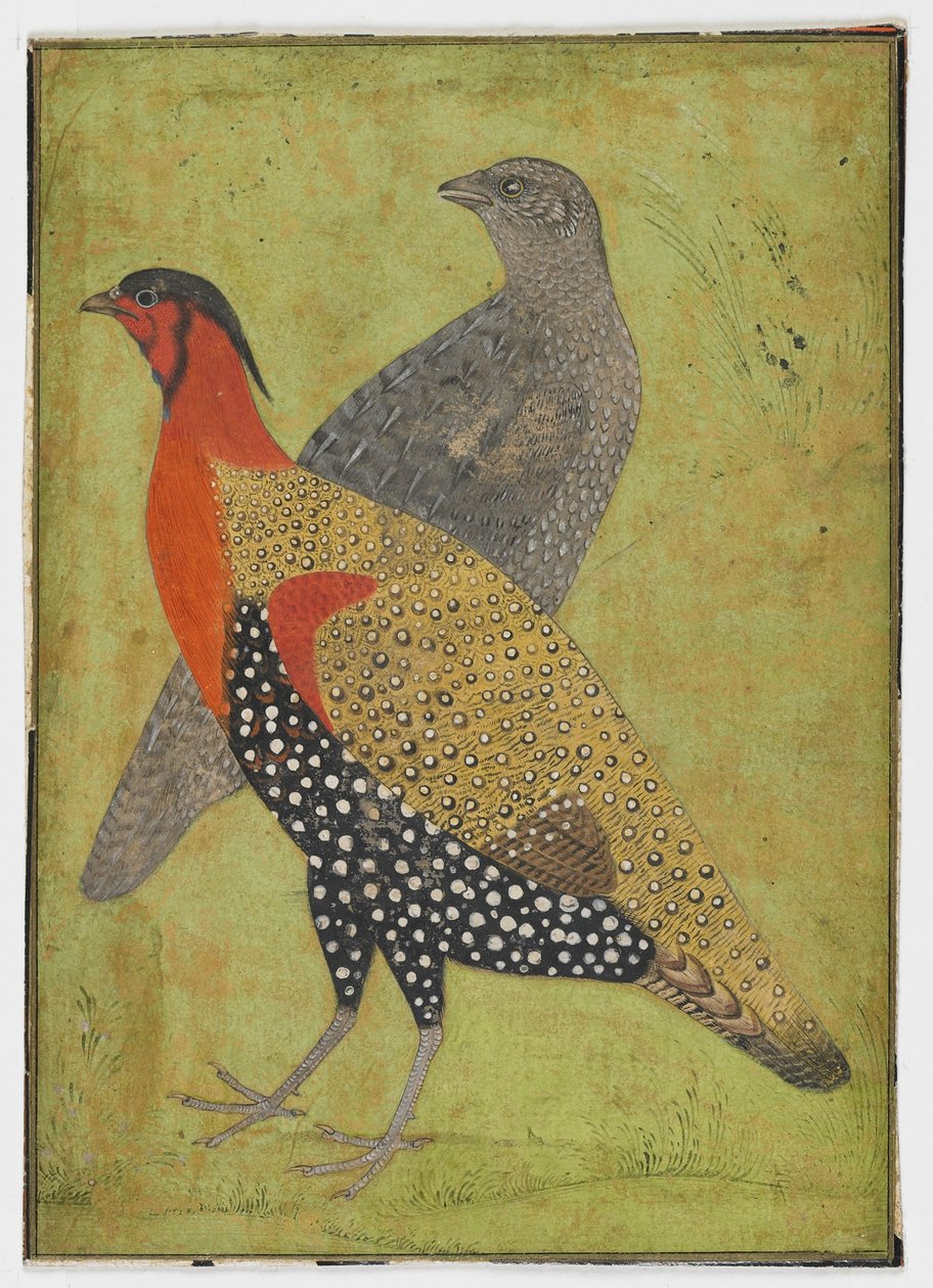 Due fagiani, dipinto, inizio XVII secolo da Mughal School
