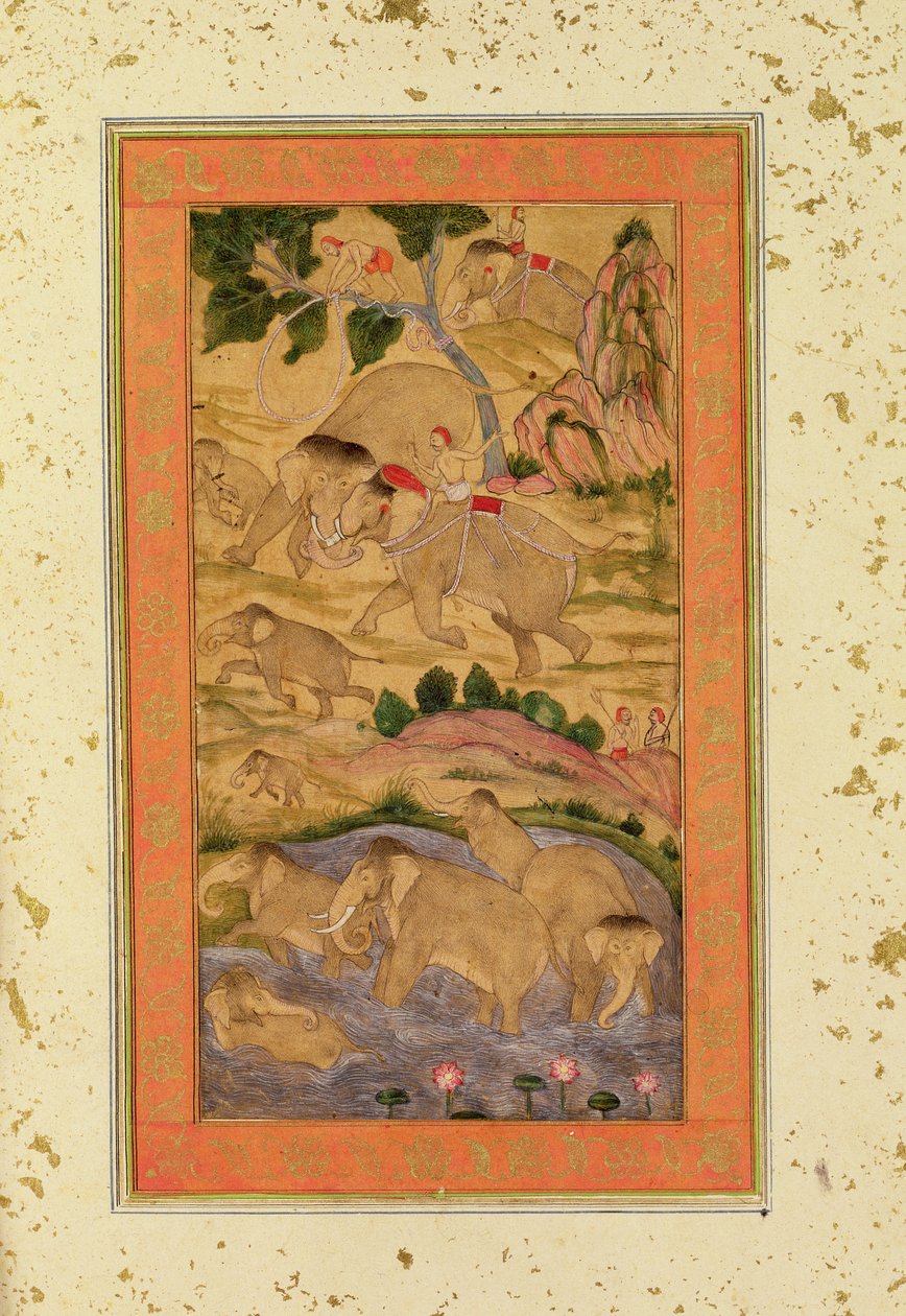 Cacciatori che catturano elefanti, dal Grande Album Clive, c.1760-65 da Mughal School