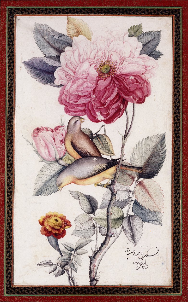 Gul-o Bulbul, c. 1849-50 da Muhammad Baqir