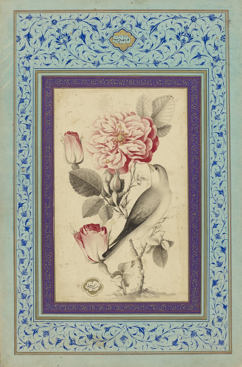 Rose e usignolo, fine XVIII secolo da Muhammad Baqir