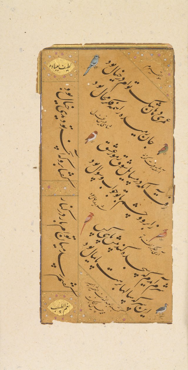Pagina di calligrafia, fine XVI secolo da Muhammad Husayn al Katib