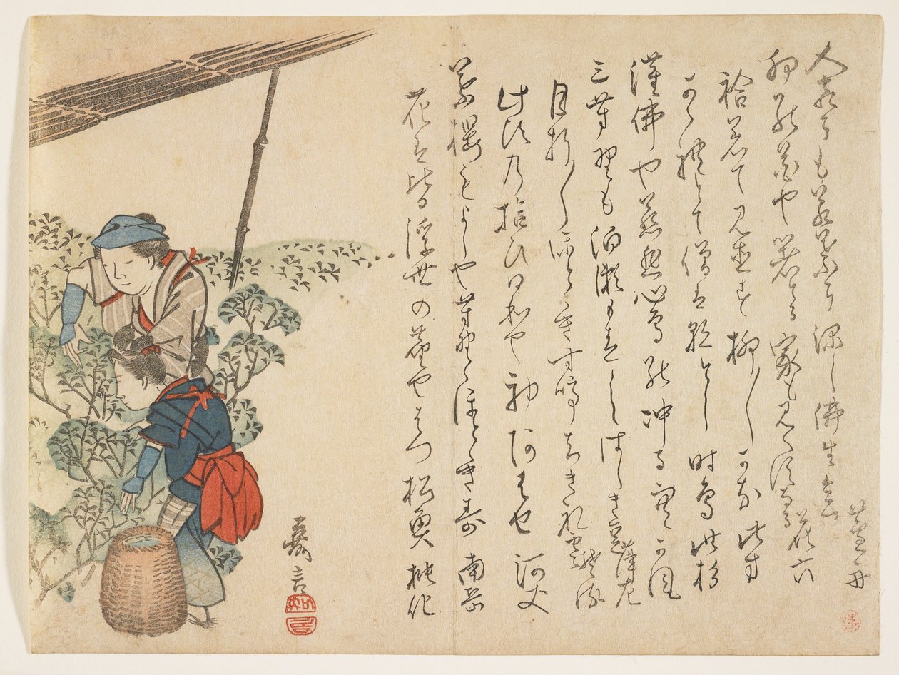 Raccoglitori di tè, c.1830-44 da Murata Kagen