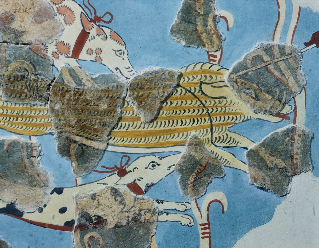 Affresco dal Palazzo di Tirinto (Grecia). Dettaglio: gruppo di cani che attaccano un cinghiale selvatico. Civiltà micenea da Mycenean