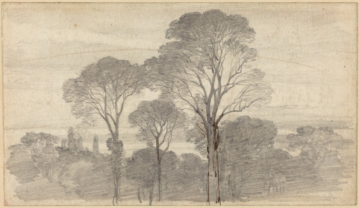 Un paesaggio serale con alti alberi da Myles Birket Foster