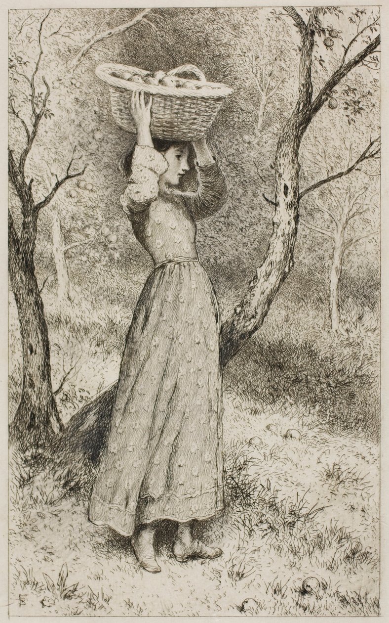 Giovane Ragazza in un Frutteto con un Cesto di Frutta da Myles Birket Foster