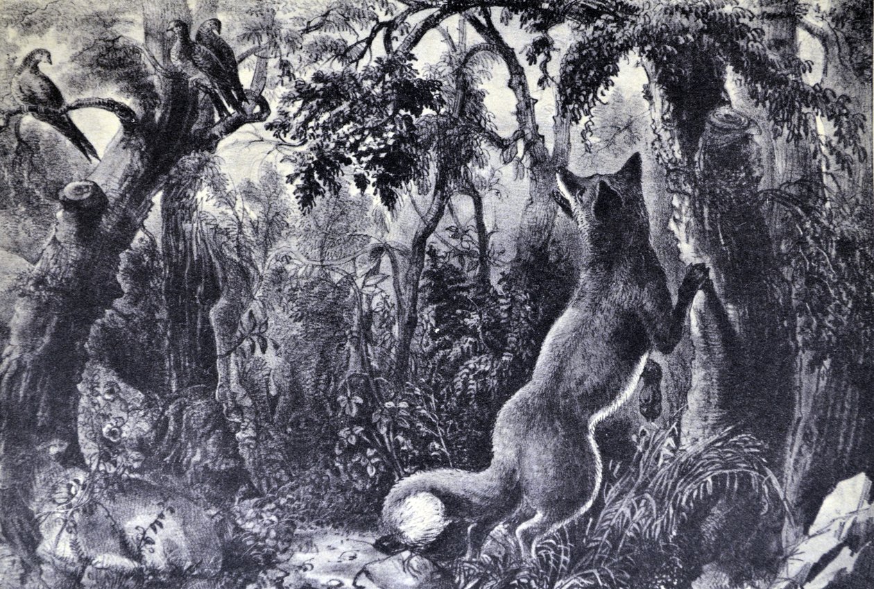 La volpe perplessa da N. and Ives, J.M. Currier