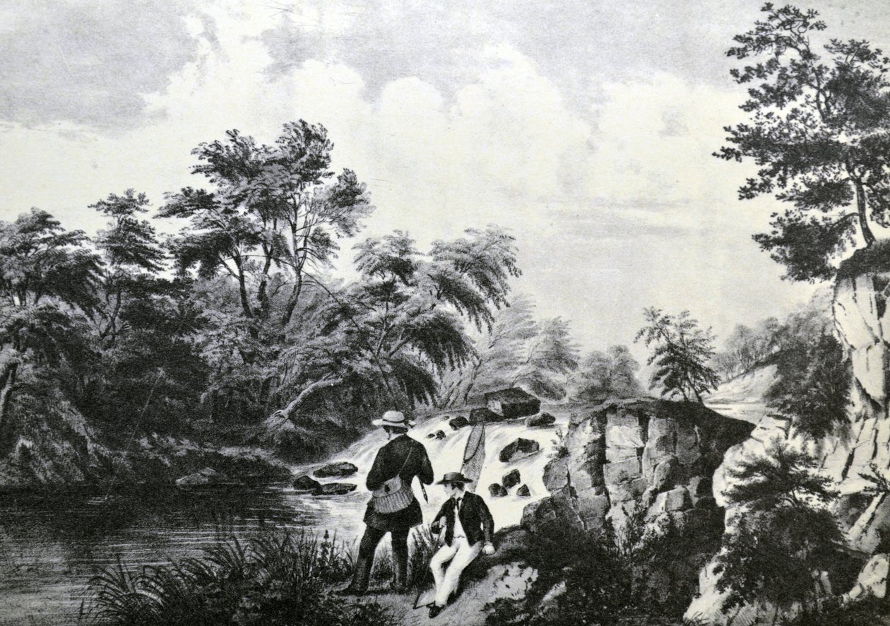 Il ruscello delle trote da N. and Ives, J.M. Currier