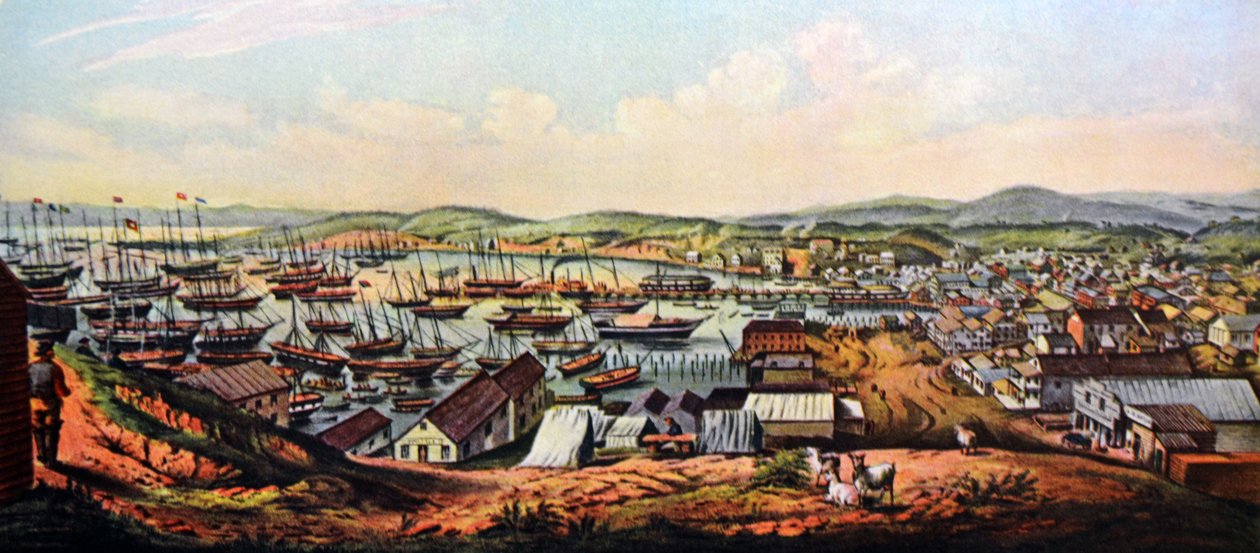 Veduta di San Francisco, California da N. and Ives, J.M. Currier