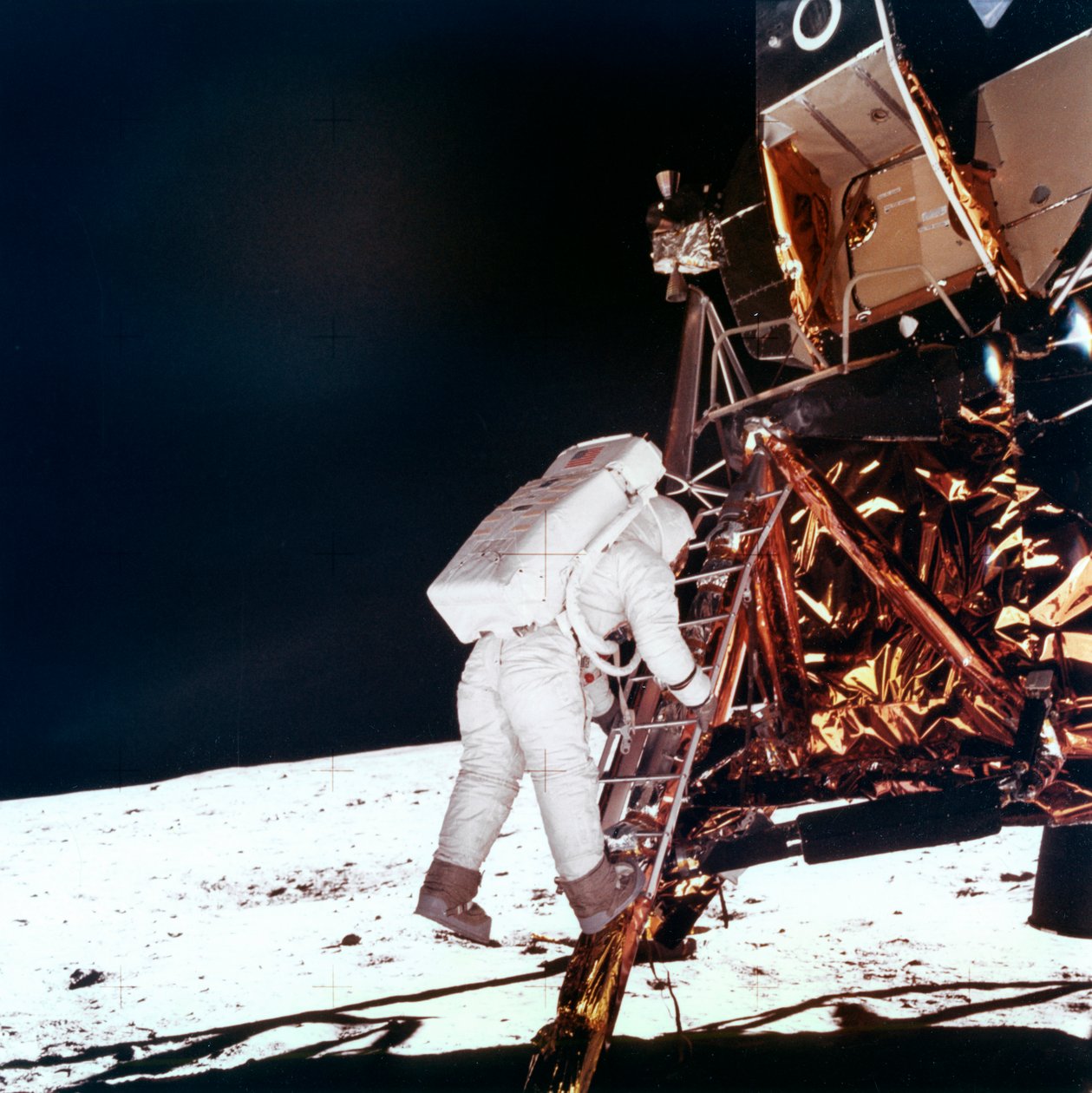 Edwin Buzz Aldrin scende i gradini della scala del Modulo Lunare per camminare sulla Luna, 1969 da NASA Images