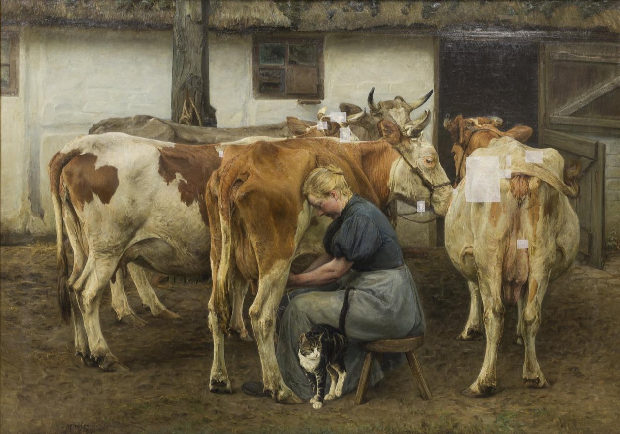Mungitura delle mucche. Jutland occidentale da N.P. Mols