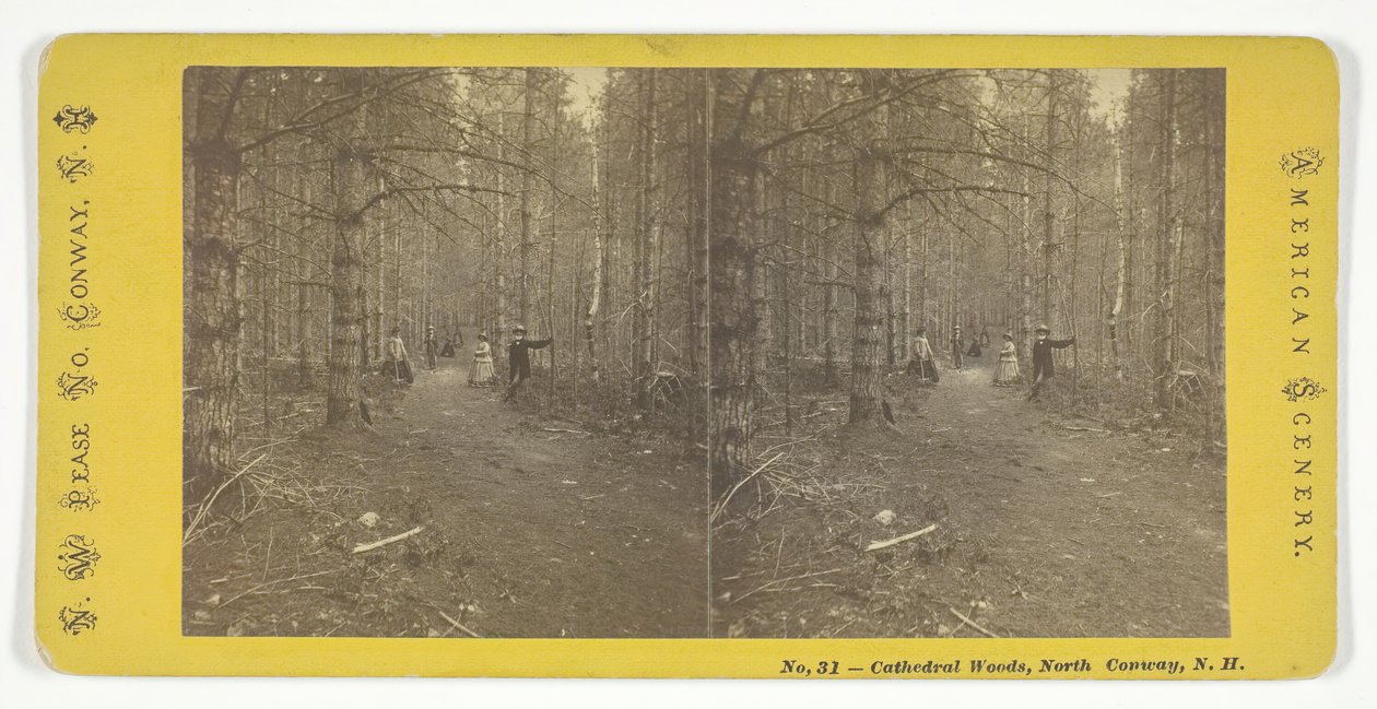 Boschi della Cattedrale, North Conway, N.H. da N.W. Pease