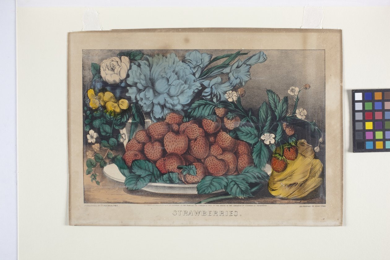 Fragole da N. and Ives J.M. (1824 95) Currier