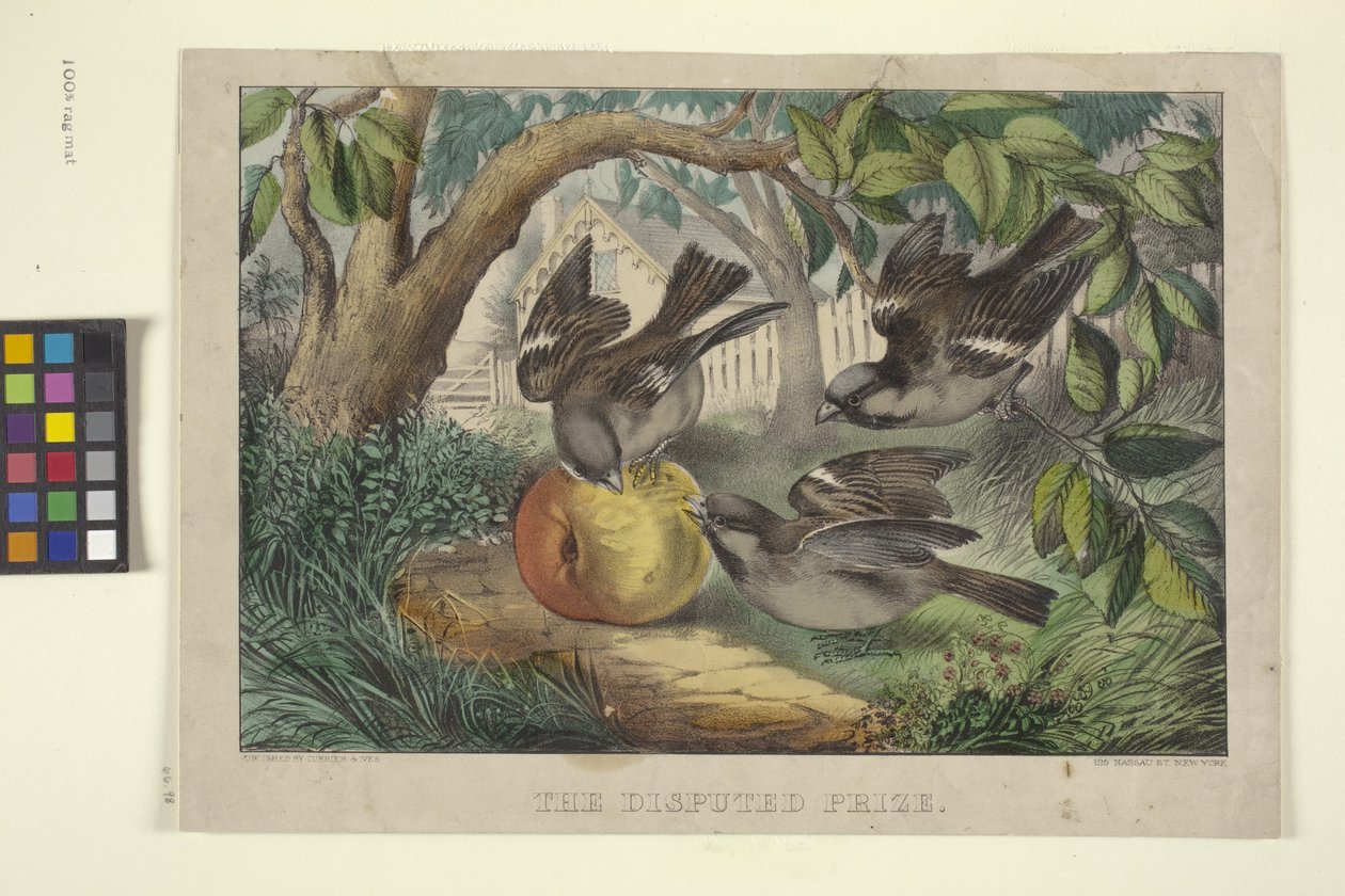 Il premio conteso da N. and Ives J.M. (1824 95) Currier