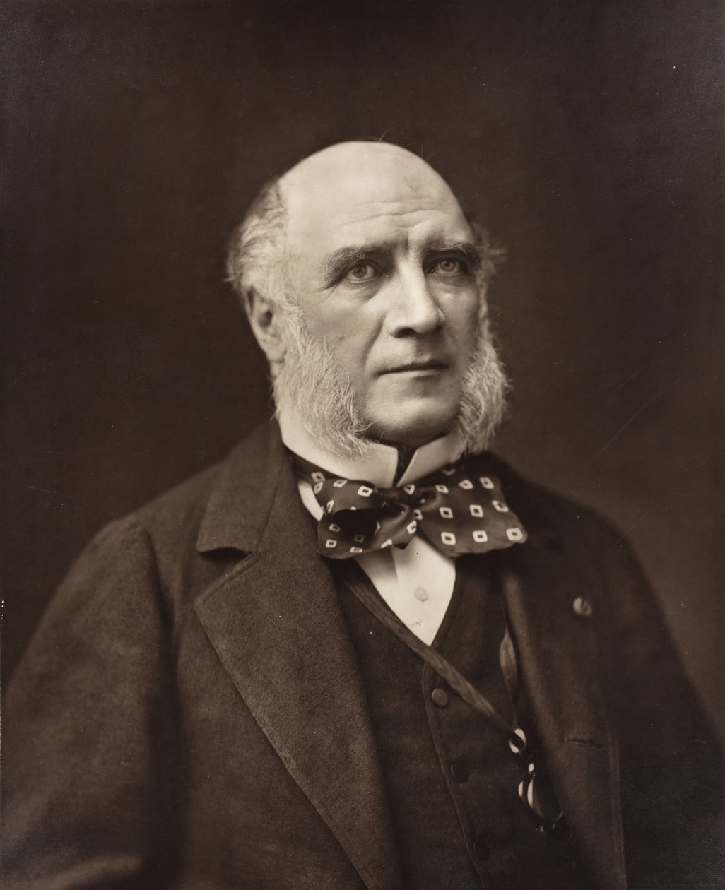 Élie-Louis, duca Decazes, statista e diplomatico francese, 1819-1886, c. 1853-77 da Nadar