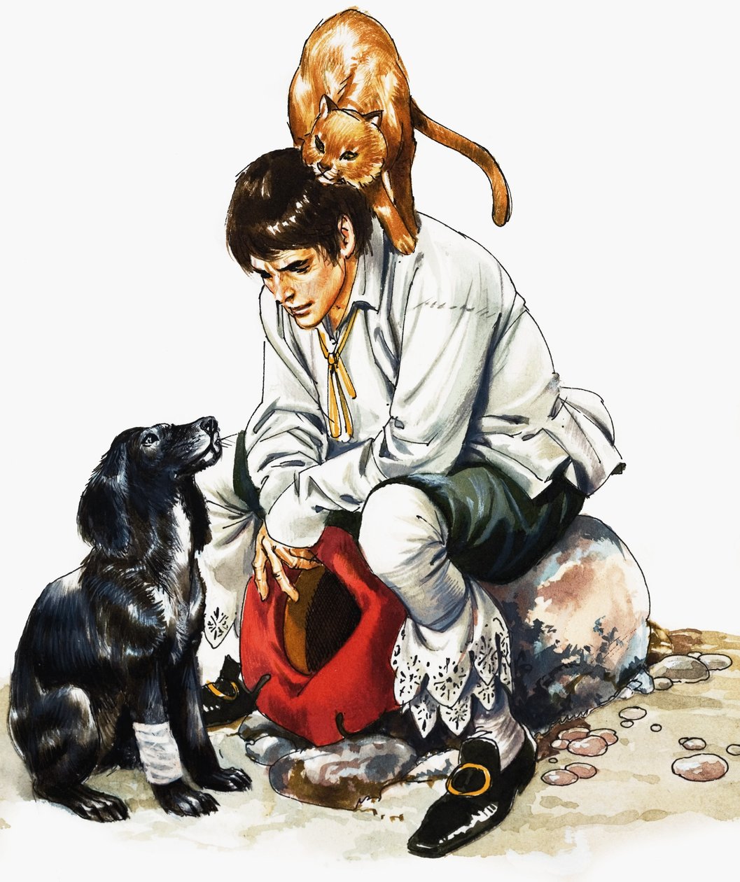 Dick Whittington () più cane e gatto da Nadir Quinto