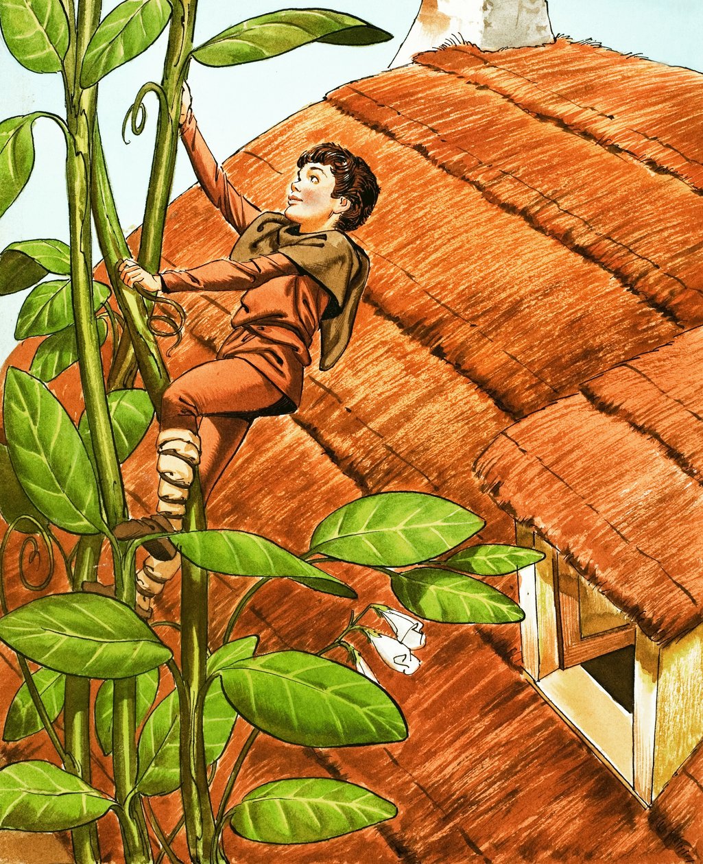 Jack e la pianta di fagioli da Nadir Quinto